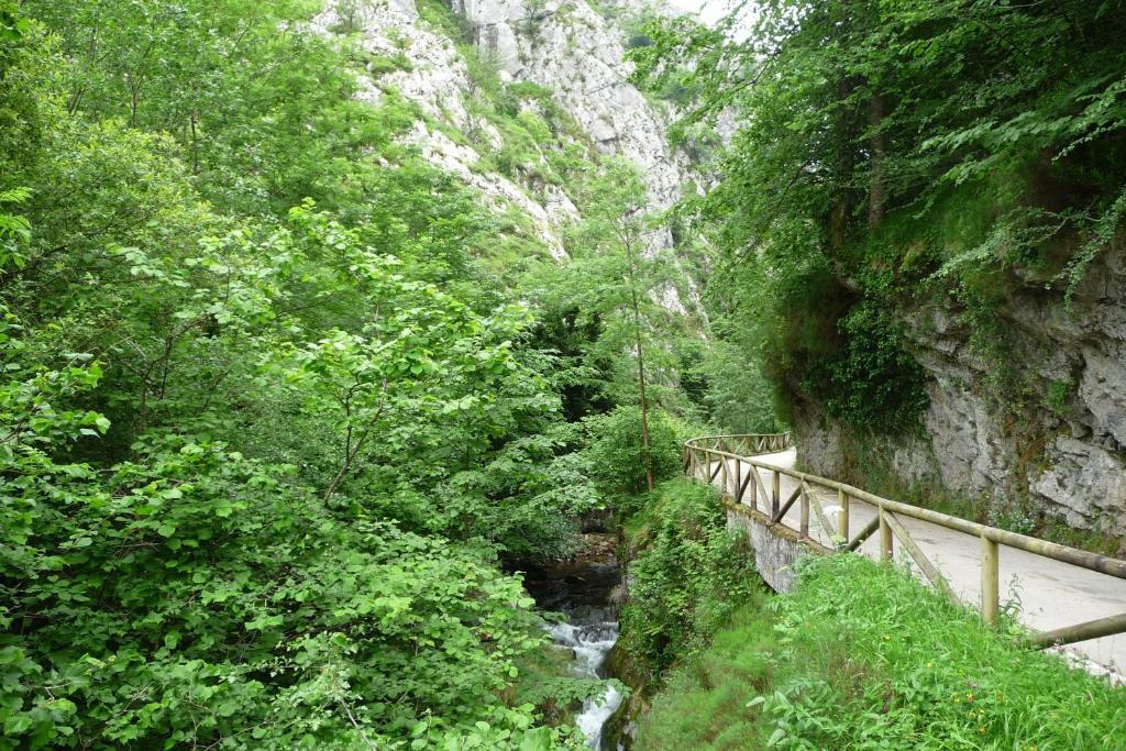 Hotel Rural El Fondon Soto De Agues 외부 사진